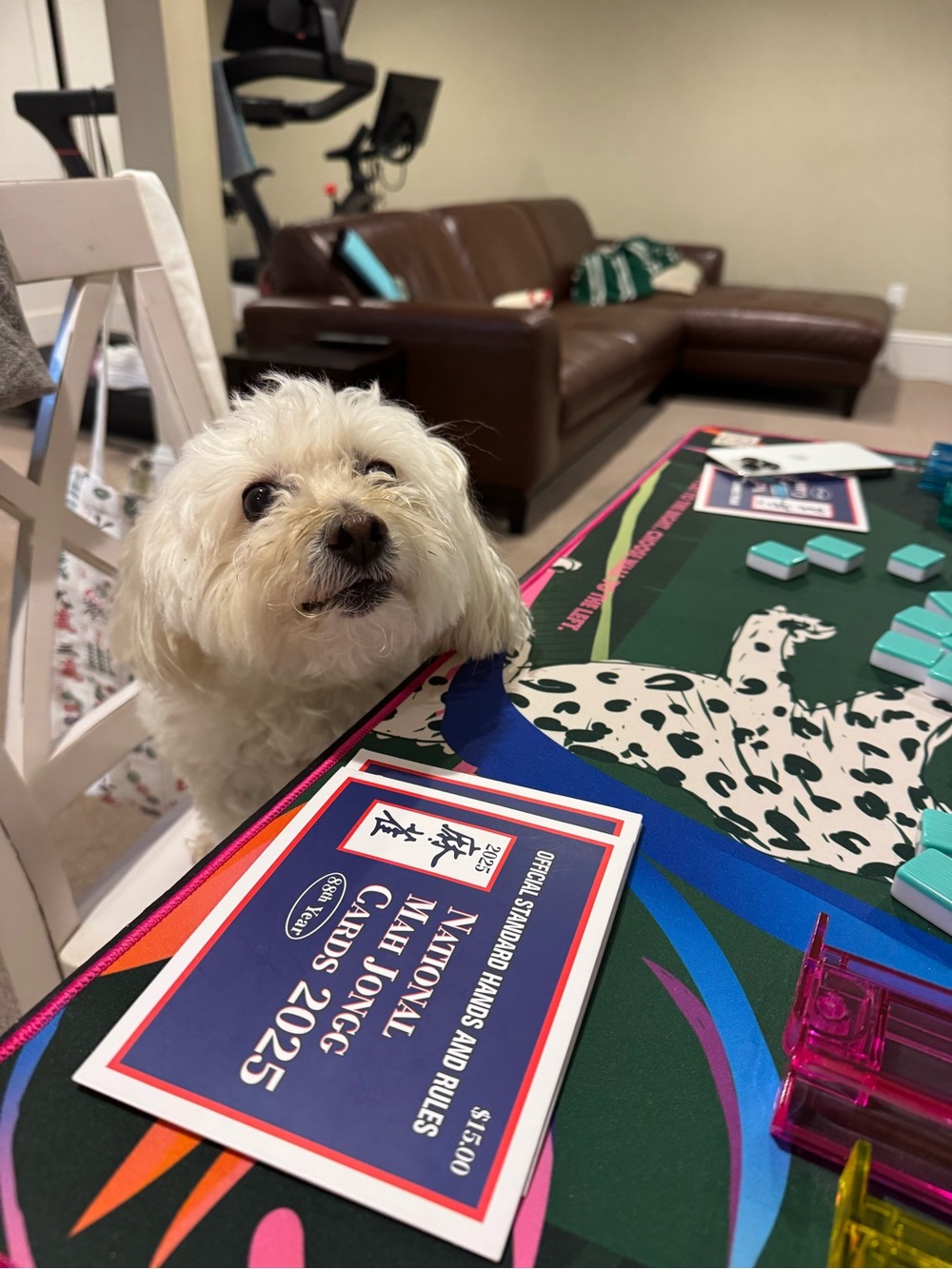 Bespoke Mahjong Cheetah Couture Mat